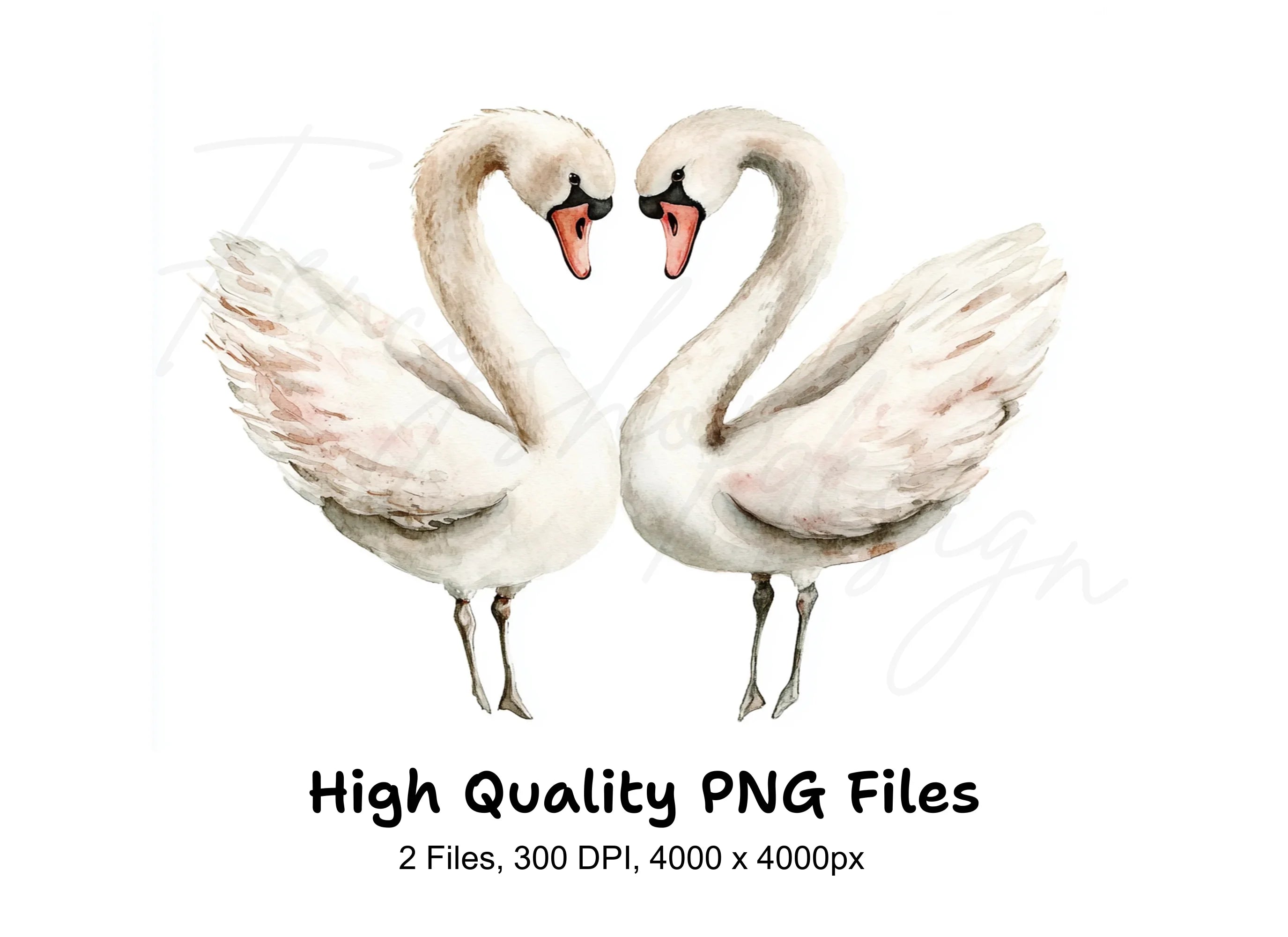 Elegant Swan Couple Clipart Bundle