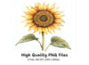 Sunflower Designs Clipart Bundle