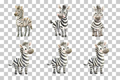 Silly Cartoon Zebra Clipart Bundle - CraftNest - Digital Crafting and Art