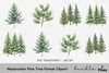 Pine Tree Forest Clipart Bundle