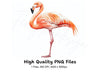 Graceful Pink Flamingo Clipart Bundle