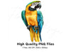 Vibrant Macaw Parrot Clipart Bundle