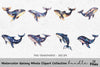 Galaxy Whale Clipart Bundle
