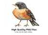 American Robin Bird Clipart Bundle