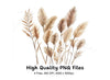 Pampas Grass Clipart Bundle