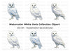 Majestic Snowy Owl Clipart Bundle