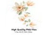 Magnolia Blossom Clipart Bundle