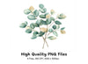 Eucalyptus Leaves Clipart Bundle