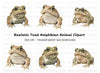 Brown Toad Clipart Bundle