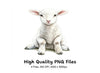 Adorable Baby Lambs Clipart Bundle