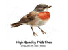 Robin Bird Clipart Bundle