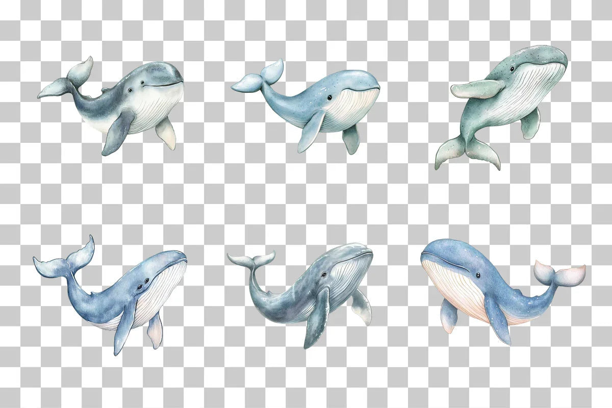 Nursery Baby Whale Clipart Bundle - CraftNest - Digital Crafting and Art