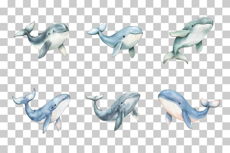 Nursery Baby Whale Clipart Bundle - CraftNest - Digital Crafting and Art