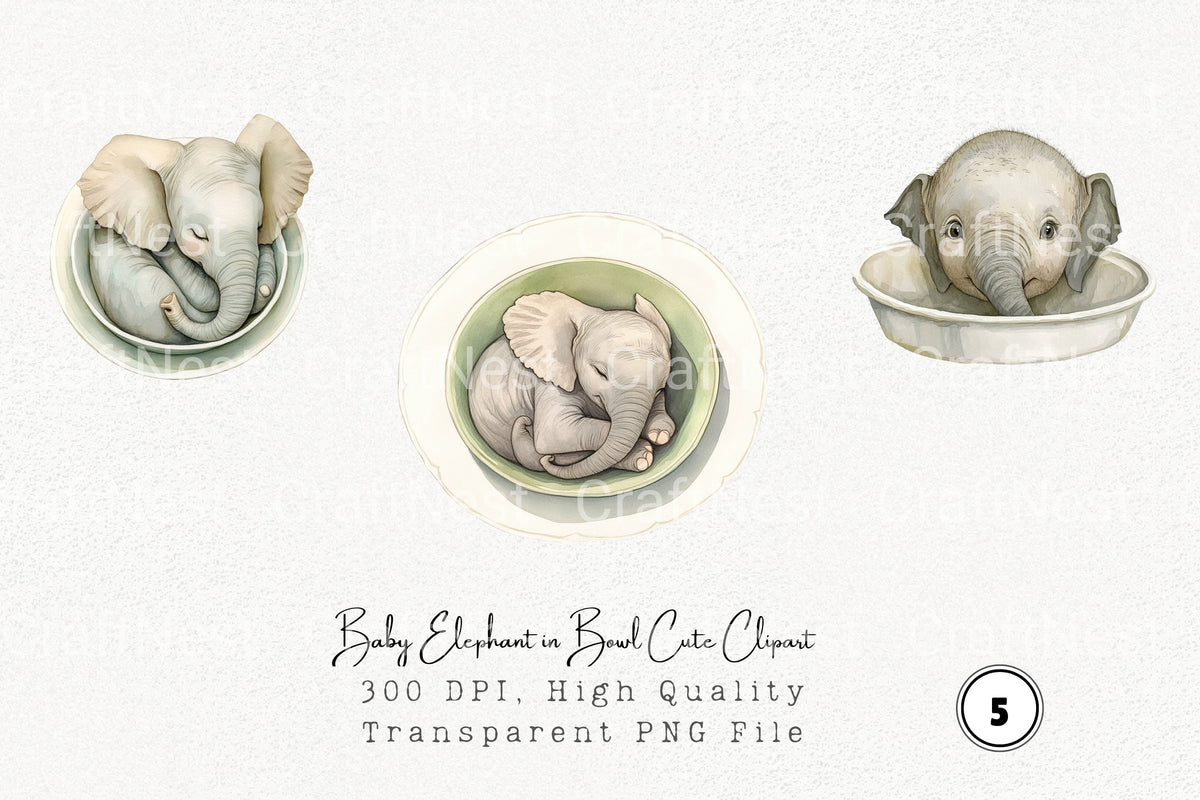 Baby Elephant In Bowl Cute Clipart Bundle