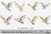 Barn Owl Flying Clipart Bundle