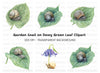 Snails on Wet Leaves Clipart Bundle