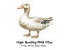 Ducks and Geese Clipart Bundle