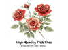 Elegant Red and White Rose Clipart Bundle