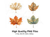 Autumn Leaves Clipart Bundle