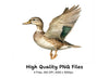Mallard Duck Clipart Bundle