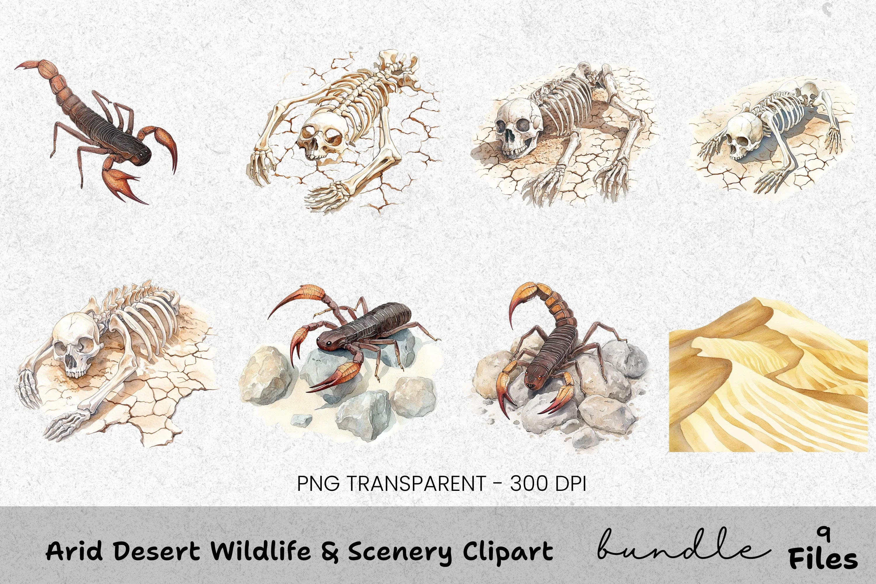 Arid Desert Wildlife Scenery Clipart Bundle