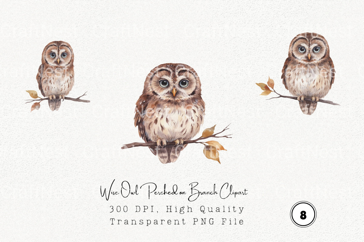 Wise Owl Perched On Branch Clipart Bundle