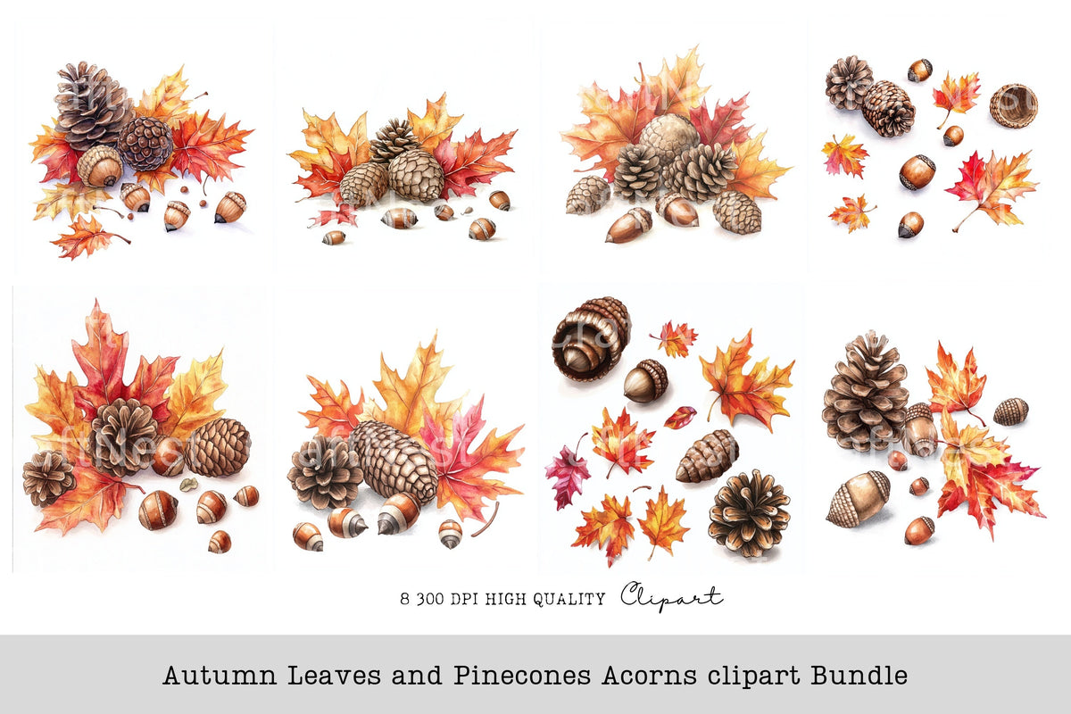 Autumn Leaves And Pinecones Acorns Clipart Bundle