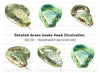 Green Snake Head and Body Clipart Bundle