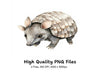Cute Armadillo Clipart Bundle
