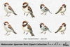 Sparrow Bird Clipart Bundle