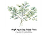 Eucalyptus Leaves Clipart Bundle