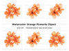 Orange Flower Clusters Clipart Bundle
