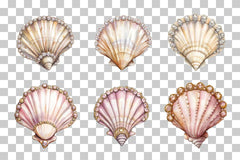 Jeweled Seashell Clipart Bundle - CraftNest - Digital Crafting and Art