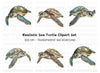 Green Sea Turtles Clipart Bundle