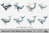 Floral Whales Ocean Clipart Bundle