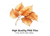 Warm Toned Autumn Leaf Branches Clipart Bundle