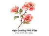 Pink Rose Clipart Bundle