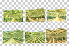 Tuscan Vineyard Landscape Clipart Bundle - CraftNest - Digital Crafting and Art