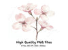 Cherry Blossom Clipart Bundle