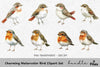 Charming Bird Clipart Bundle