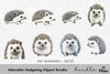 Adorable Hedgehog Clipart Bundle
