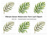 Fern Leaves Clipart Bundle