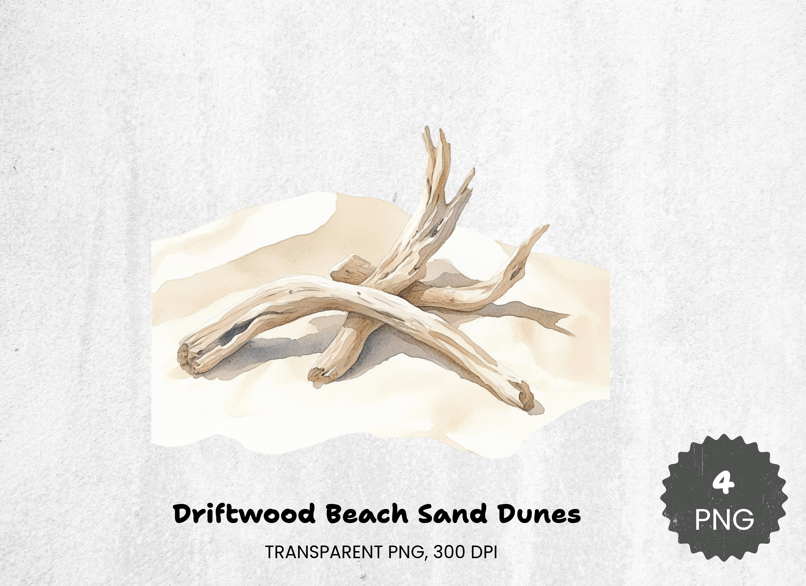Driftwood Beach Sand Dunes Clipart Bundle