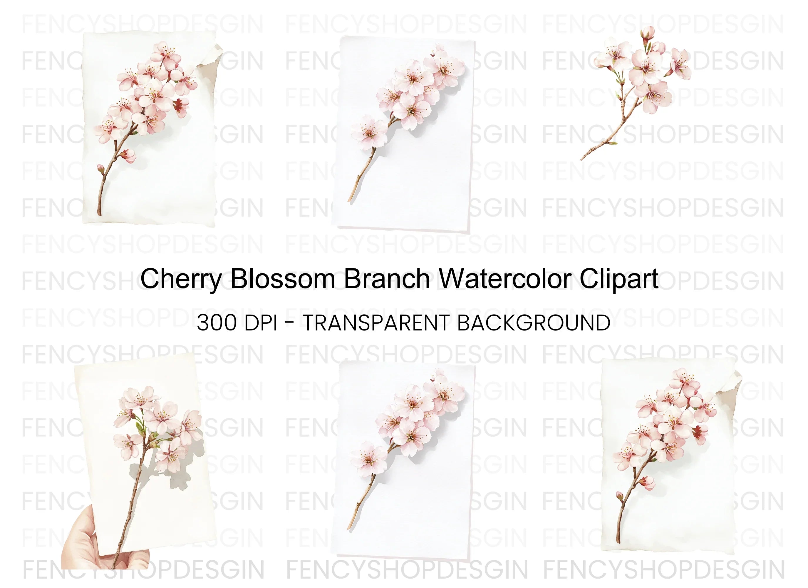Delicate Cherry Blossom Clipart Bundle