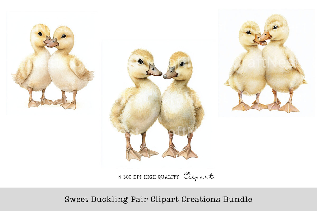 Sweet Duckling Pair Creations Clipart Bundle