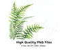 Green Fern Border Elements Clipart Bundle