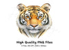 Three Tiger Faces Clipart Bundle