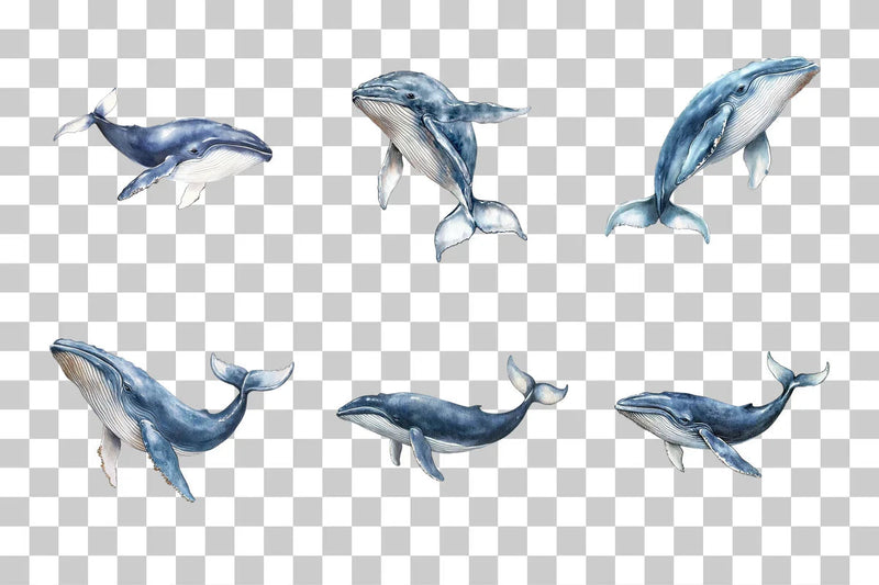 Whale Ocean Animal Clipart Bundle - CraftNest - Digital Crafting and Art