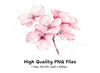 Cherry Blossom Clipart Bundle