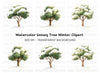 Winter Trees Clipart Bundle